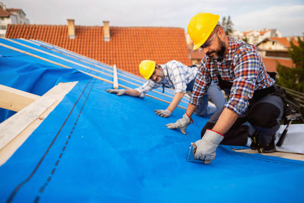 Best Storm Damage Roof Repair  in Ferrysburg, MI